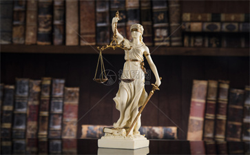 关于法律的知识 法律的基本知识